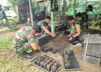 Manfaatkan Lahan Kosong, Anggota Koramil Ngabang Tanam Cabai