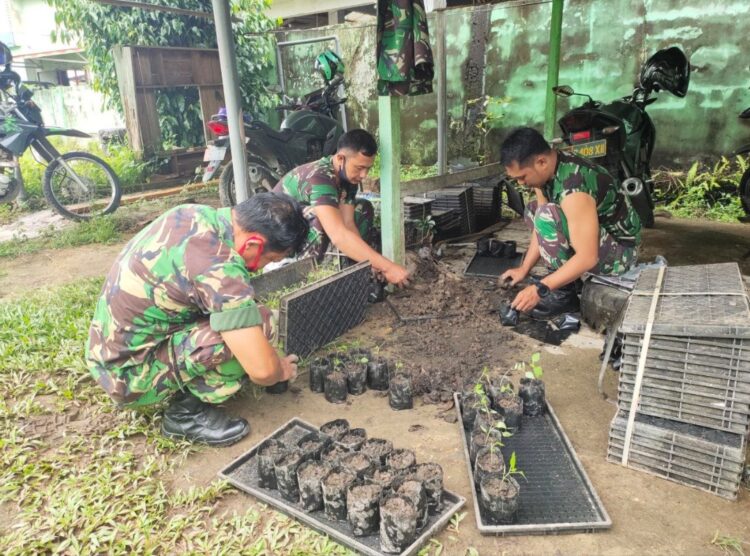 Manfaatkan Lahan Kosong, Anggota Koramil Ngabang Tanam Cabai