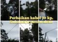 Gerak Cepat PLN Kabupaten Purwakarta Lakukan Perbaikan Kabel Yang Jatuh Bahayakan Warga