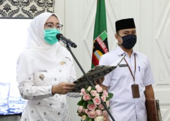 Pendaftaran CPNS Dibuka, Kabupaten Purwakarta Cari 442 Pegawai Baru