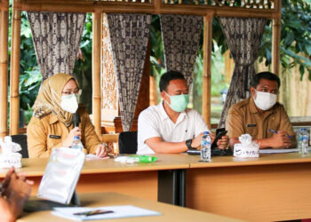 Dorong Penguatan Penanganan Covid-19 Melalui Optimalisasi Pelaksanaan PPKM Darurat