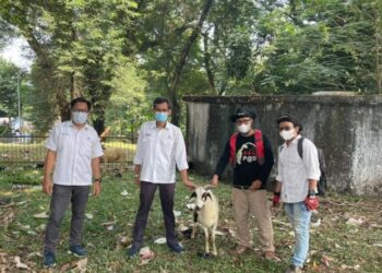 Jasa Tirta II Salurkan Bantuan Hewan Qurban