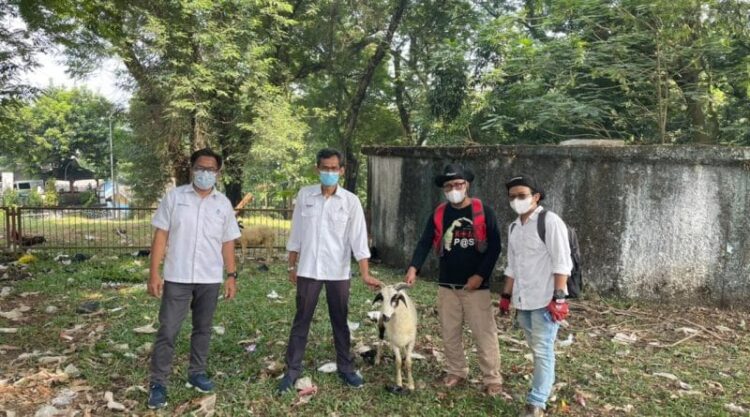 Jasa Tirta II Salurkan Bantuan Hewan Qurban