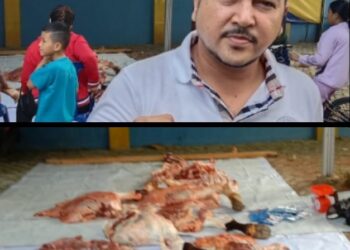 Ketua DPD Partai Nasdem Lutfi Bamala,Kurban 1 Ekor Sapi Limosin Dan 5 Ekor Domba