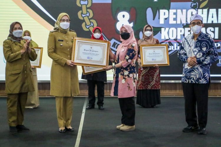 Bupati Purwakarta Raih Penghargaan Jasa Bakti Koperasi
