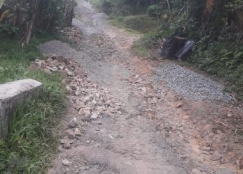 Pekerjaan Jalan Di Kampung Cirendeu Diduga Tidak Sesuai Dengan Spek