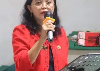 Dinas PPKB Nias Barat Laksanakan Sosialisasikan Peningkatan Kompetesi Tenaga Pelayanan Kesehatan Reproduksi