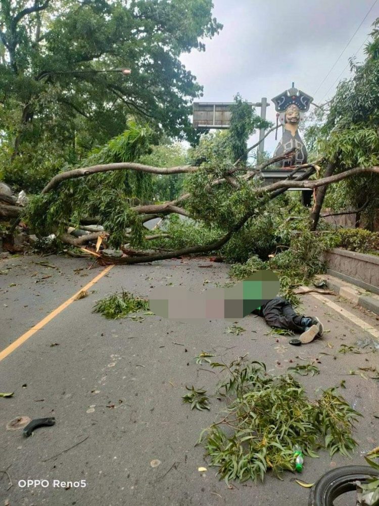 Naas Nasib Pencari Rupiah Pengendara Ojol Tertimpa Pohon,Dedi Mulyadi Wakil Ketua Komisi lV DPR RI Turun Seketika Ke Lokasi