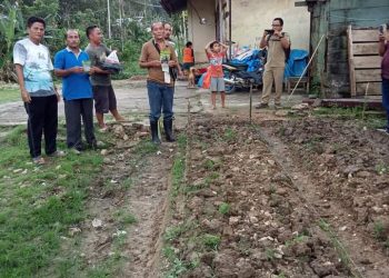 Pemdes Hou Bagikan Bibit Tanaman Dan Pupuk Kepada Masyarakat