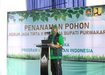 Kolaborasi Jasa Tirta II dalam Penanaman Pohon