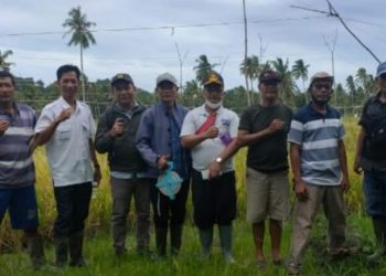 PSDA Nias Barat Survey Irigasi Gito Di Desa Hanofa