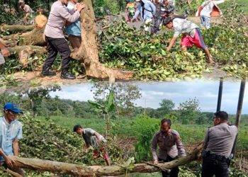 Berjibaku” Polisi Bersama Warga Bersihkan Pohon Tumbang di Jalinsum