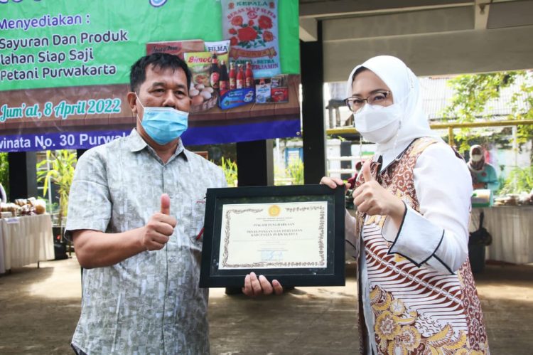 Produksi Padi di Purwakarta Naik 7,32 Persen