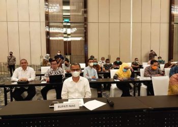 Bupati Nias hadiri Undangan Dirjen Tata Ruang dan Paparkan Rancangan RDTR Kawan Perkotaan Gido Kabupaten Nias
