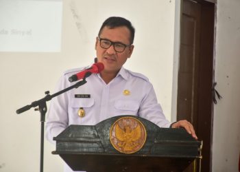 Wakil Bupati Nias Barat Sambut Tim Supervisi PKK Sumut
