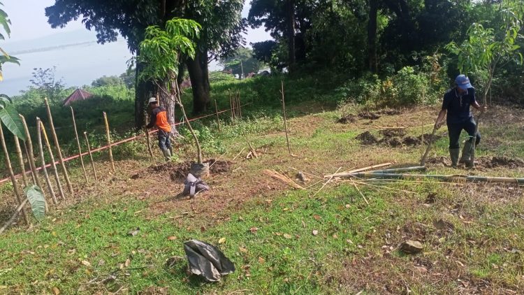 Jasa Tirta II Kampanyekan Tanam Pohon Jaga Sumber Air