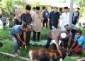 Polres Nias Sembelih Hewan Qurban Pada Hari Raya Idul Adha 1443 H / 2022
