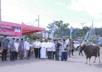 Wakil Walikota Gunungsitoli Serahkan Hewan Qurban
