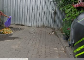 Diduga Tak Tersentu Hukum Mafia Siong Minyak Solar Bebas Bebas Beroprasi Di Medan