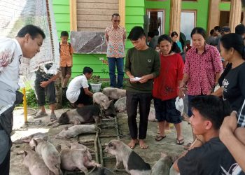 Pemdes Sihareō Sogaeadu Laksanakan Program Ketahanan Pangan Dan Hewani