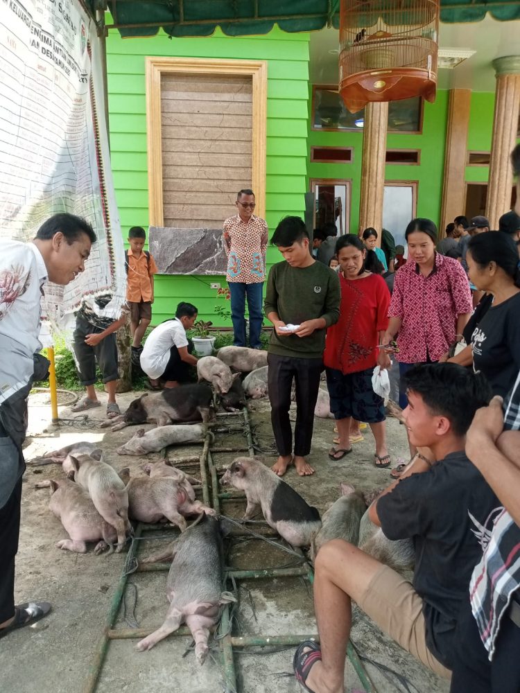 Pemdes Sihareō Sogaeadu Laksanakan Program Ketahanan Pangan Dan Hewani