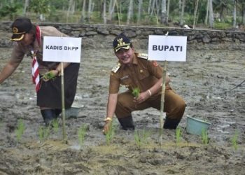Kunker di Desa Gunung Baru, Bupati Lakukan Penanaman Perdana Benih Padi