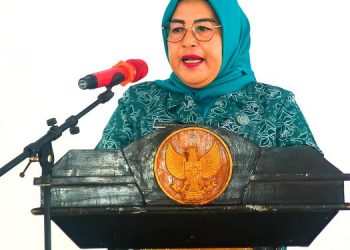 Ny Erli Tasar Khenoki Waruwu Sampaikan Arti Dari Aku Hatinya PKK