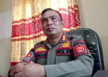 Kasatpol PP Nias Barat : Pendataan Anggota Satpol PP Non ASN Tidak Ada Pungutan