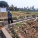 Kades Legoksari Mengapresiasi Pembangunan Rehabilitas dan Pemeliharaan Irigasi Usaha Tani