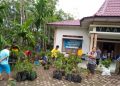 Pemdes Lawelu Bagikan Bibit Durian Musang Kin Kepada Warga