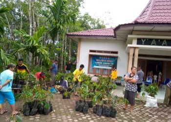 Pemdes Lawelu Bagikan Bibit Durian Musang Kin Kepada Warga