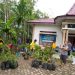 Pemdes Lawelu Bagikan Bibit Durian Musang Kin Kepada Warga
