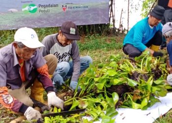 Jasa Tirta 2 Mengadakan Pelatihan Olah Gulma Eceng Gondok Jadi Humus Aktif dan Enzymatic