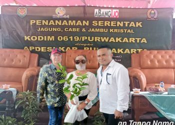 PT. Bang Ijo Bekerjasama dengan Kodim 0619 Penanaman Bibit Jagung,cabe dan Jambu Kristal