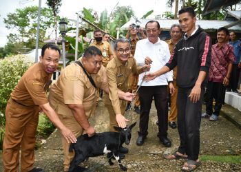 BUPATI NIAS SERAHKAN BANTUAN TERNAK KEPADA KELOMPOK TANI/TERNAK PENERIMA MANFAAT DI KABUPATEN NIAS TAHUN 2022