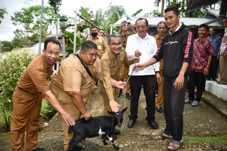 BUPATI NIAS SERAHKAN BANTUAN TERNAK KEPADA KELOMPOK TANI/TERNAK PENERIMA MANFAAT DI KABUPATEN NIAS TAHUN 2022