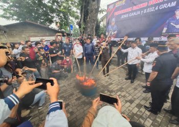 Jelang Akhir Tahun, Badan Narkotika Nasional (BNN) Kota Tangerang Musnahkan 8KG Ganja