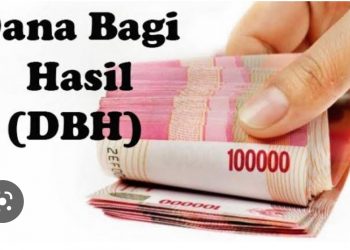 Hutang DBH Masa Lalu Sarat Deviasi