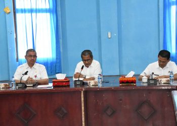 Bupati Nias Minta Tenaga Pendamping Profesional Berperan Aktif Memajukan Desa