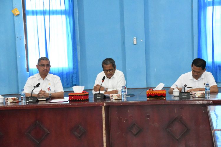 Bupati Nias Minta Tenaga Pendamping Profesional Berperan Aktif Memajukan Desa