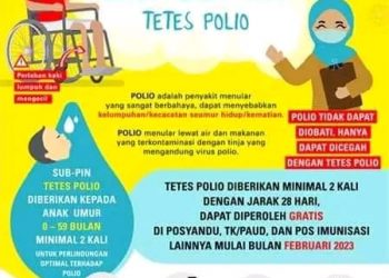Pemkab Nias Sampaikan Jadwal Pelaksanaan Sub Pekan Imunisasi Nasional (Sub-PIN)