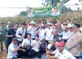 Wabup Ardian Panen Raya Bersama Petani Jagung Di Desa Kubu Hitu