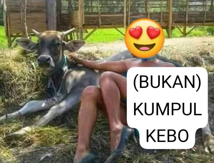 Warga Mempertanyakan Dugaan Hubungan Inisial V dengan Oknum Anggota Inisial ST Nikah Siri Atau Kumpul Kebo