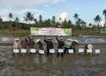 Bupati Nias Barat Melakukan Tanam Perdana Intensifikasi Padi Sawah Di Desa Hilidaura