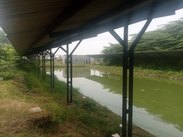 Telan Anggaran Ratusan Juta, Proyek Pemancingan Galatama BUMDes Cukanggalih Mangkrak, Inspektorat Diminta Segera Audit