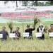 Bupati Bersama Kelompok Tani “Ingin Maju” Lakukan Panen Perdana Intensifikasi Padi Sawah