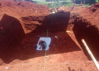 Menara IBS di Pagedangan Diduga Tak berizin, LSM BIAK Mendesak Satpol PP Segera Segel