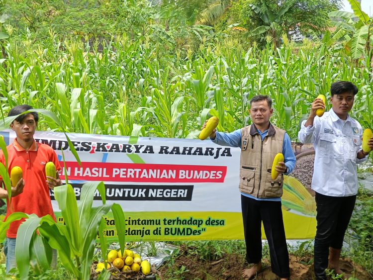 MANFAATNYA SEKALIGUS BAHAN EVALUASI BUMDESA KARYA RAHARJA DESA GALUDRA
