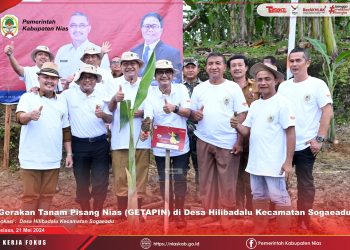 Bupati Nias: Produksi Pisang Harus Diprioritaskan Agar Memiliki Kualitas dan Daya Jual Yang Tinggi