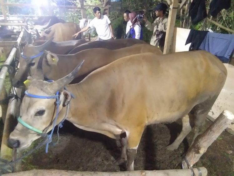 Datang Di Lapak Kami: Oom Rudy Dan Team Ke Unggulan Recomeded